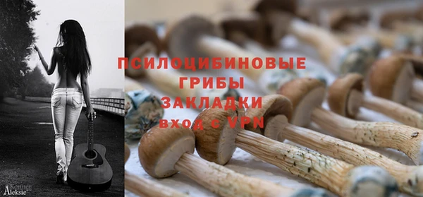 гашиш Арсеньев