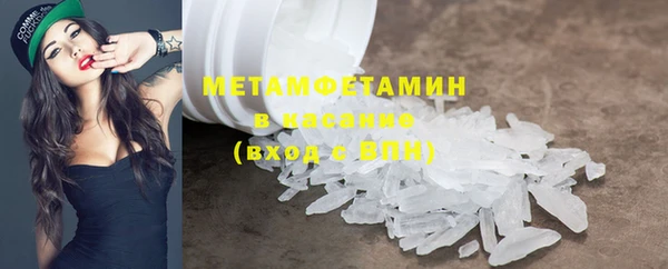 трава Аркадак