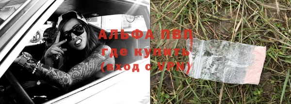 трава Аркадак