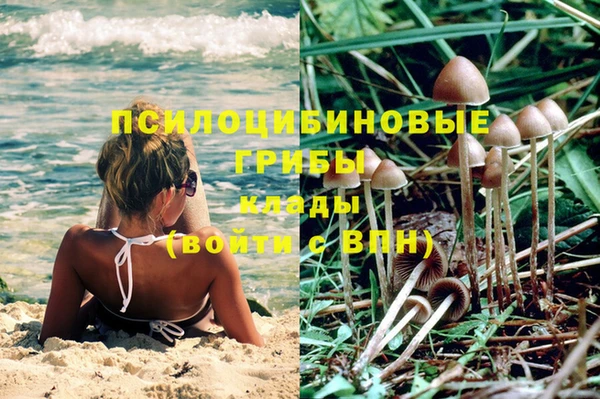 гашиш Арсеньев